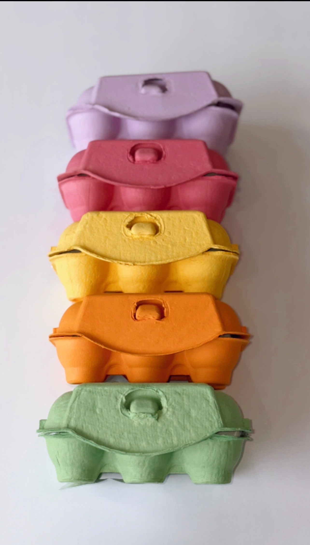 Paint Your Cookie Kit | The Salty "B"