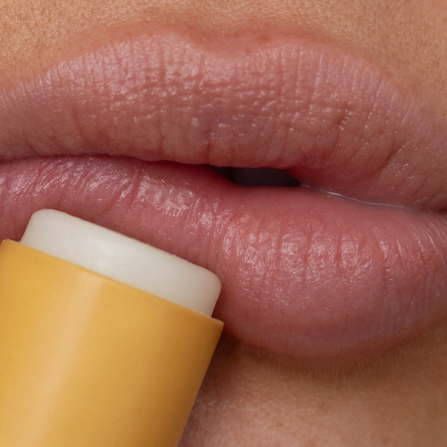 Poppy & Pout Lip Balm | Wild Honey