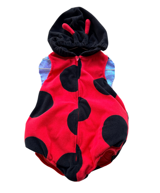Carters Ladybug Costume Size 18M