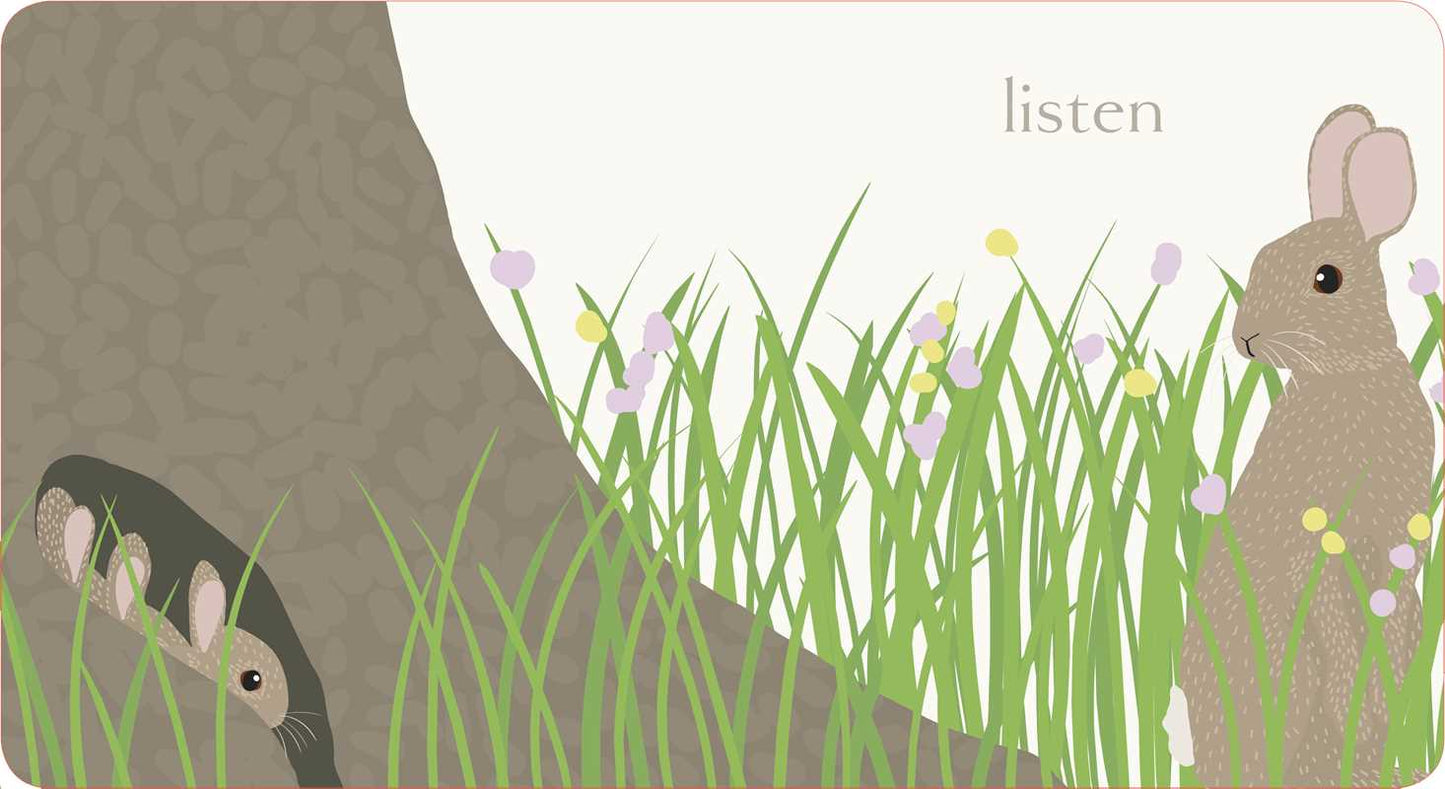 Hop Board Book