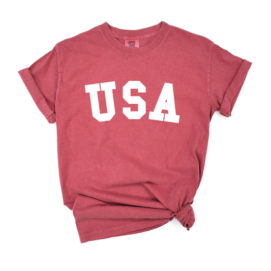 Holland Ave Clothing | USA T-shirt