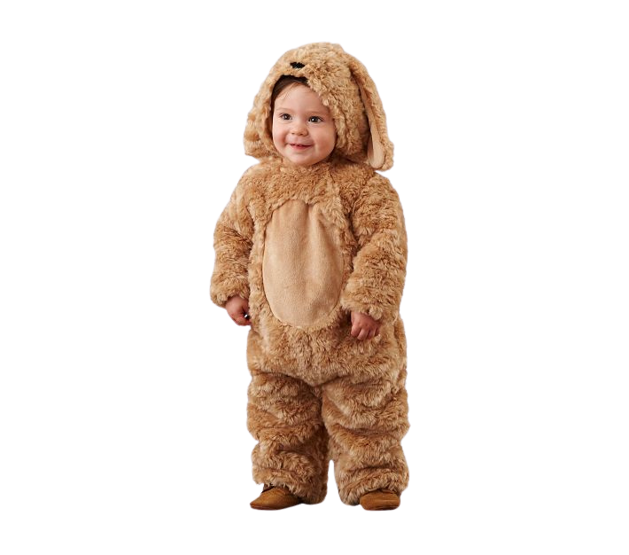 Pottery Barn Bunny Costume Size 6/12M