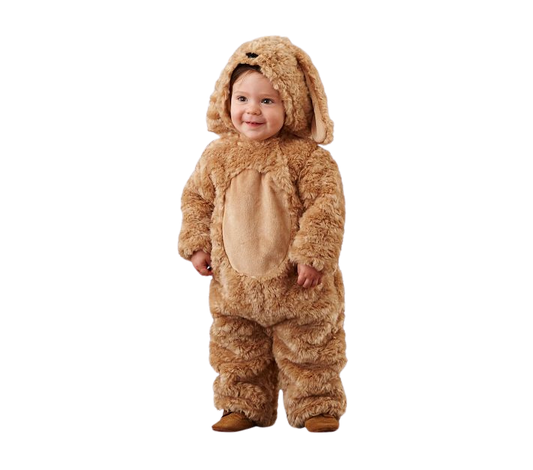 Pottery Barn Bunny Costume Size 6/12M