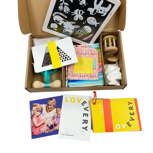 Lovevery Charmer Play Kit
