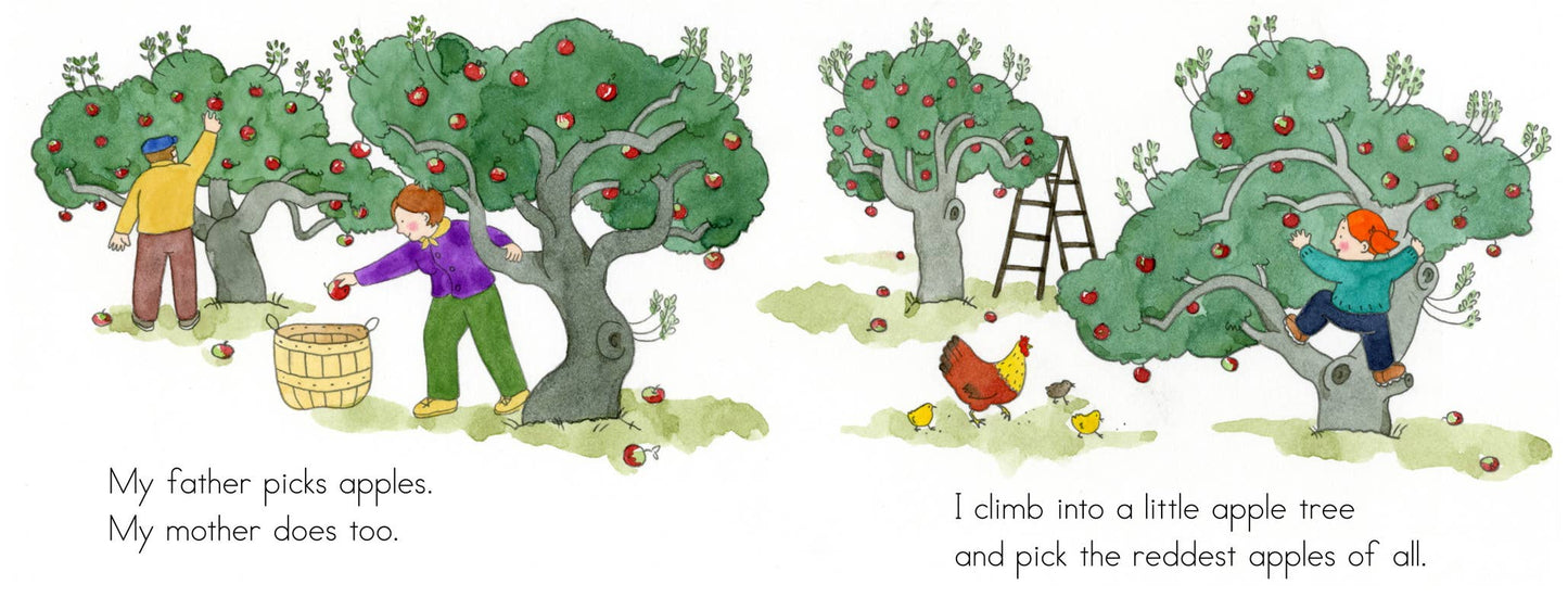 Apples and Pumpkins Paper Back Book
