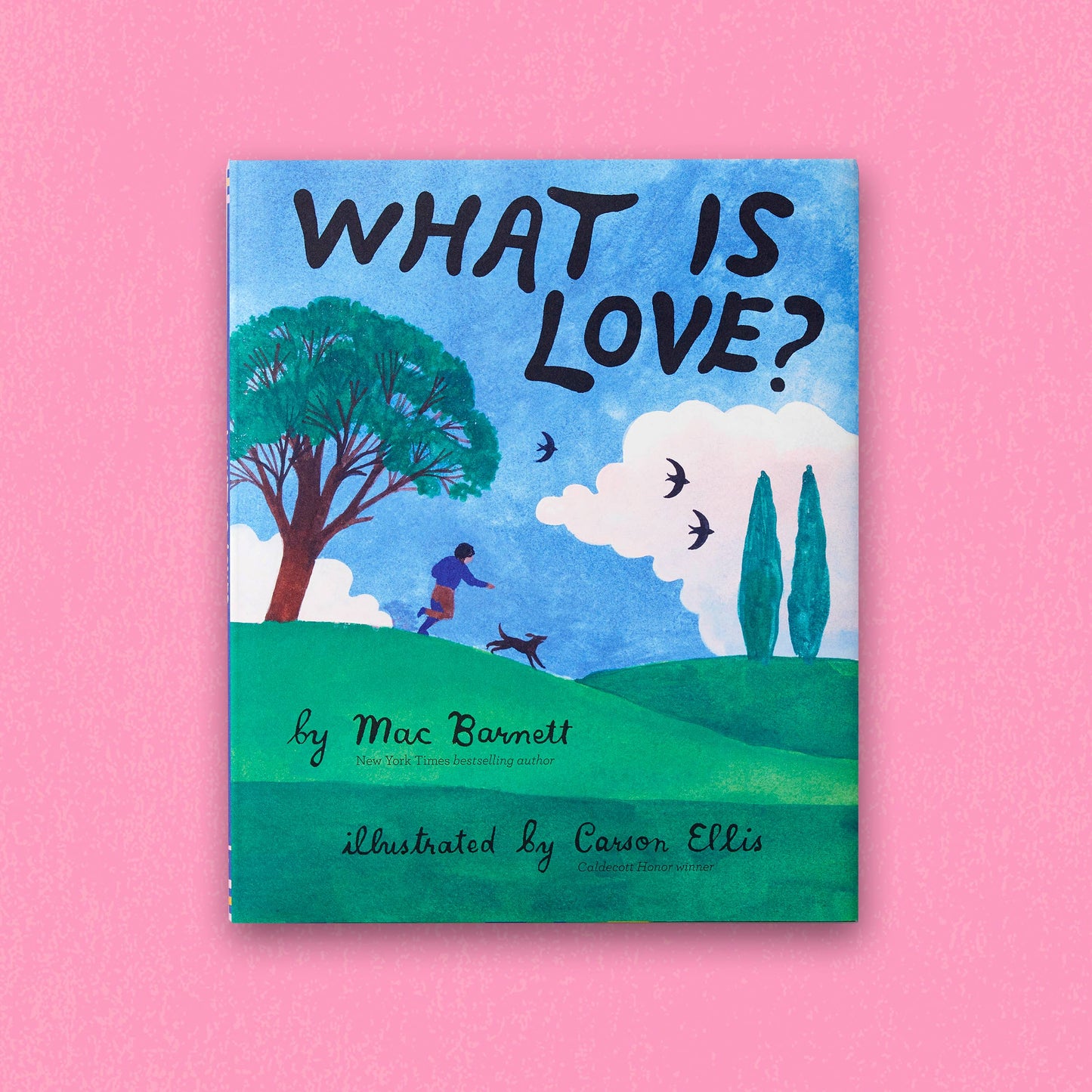 What Is Love Hardcover Book