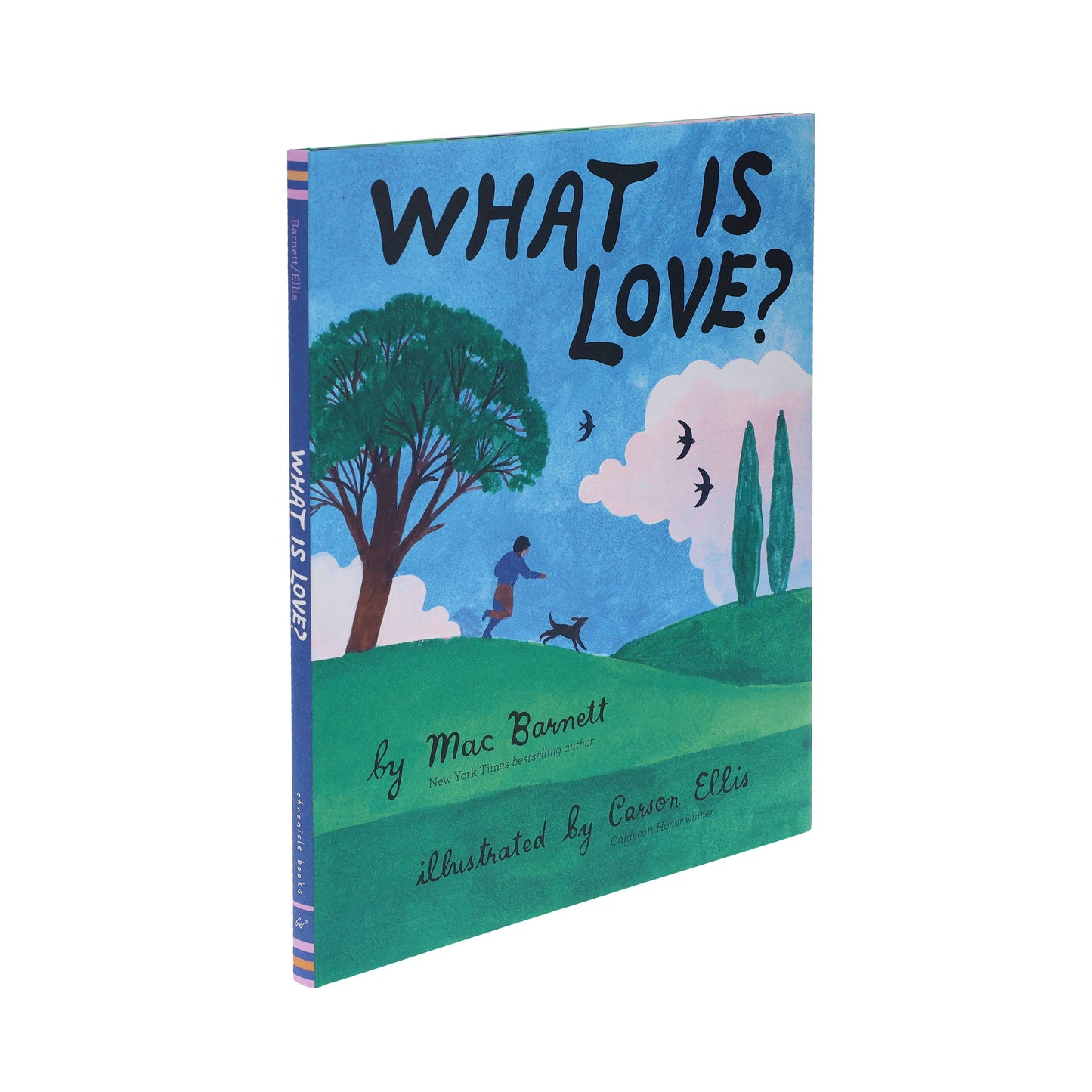 What Is Love Hardcover Book