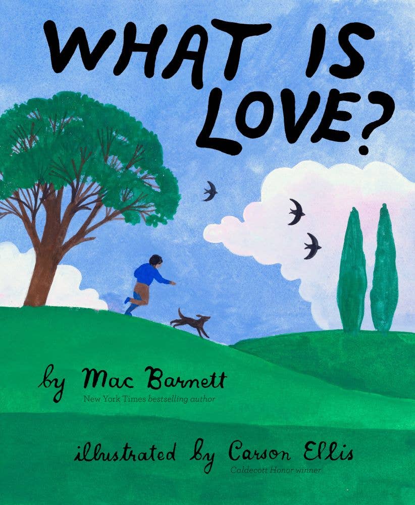 What Is Love Hardcover Book