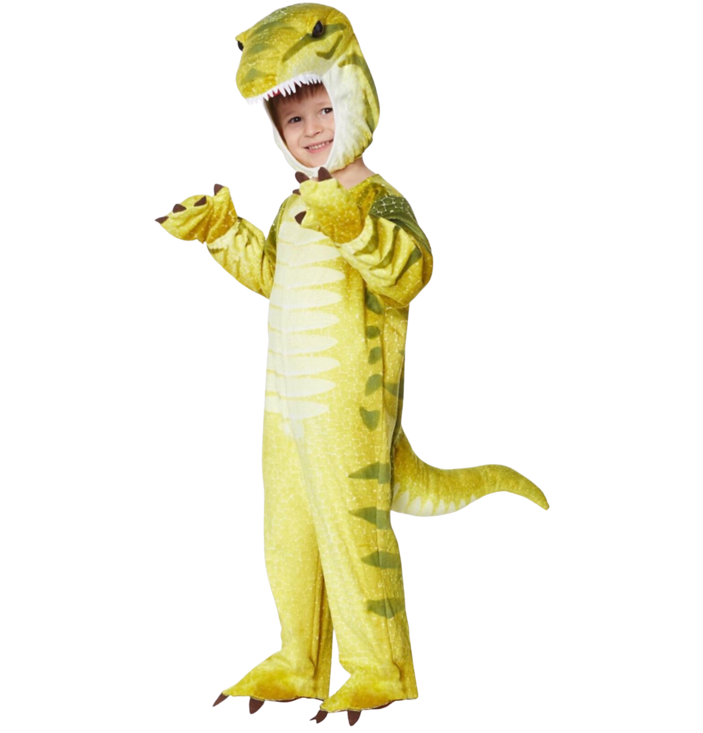 T-Rex Costume Size 8/10Y