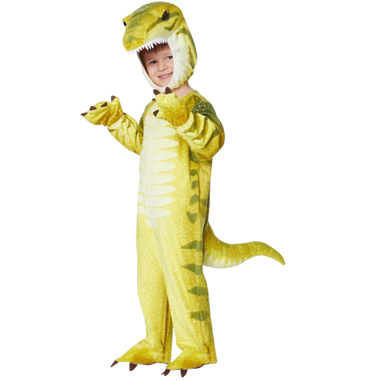 T-Rex Costume Size 8/10Y