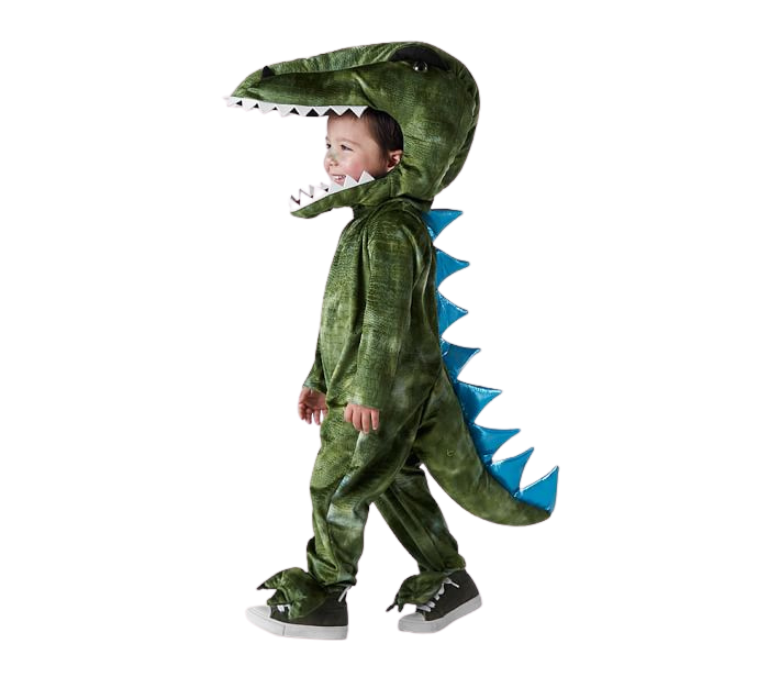 Pottery Barn Dino Costume Size 4/5Y